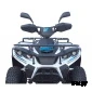 Квадроцикл GreenCamel Linhai LH40DA (3900W 50 км/ч)