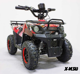 Квадроцикл GreenCamel Гоби K45 (36V 800W R6 Цепь) быстросъем, ножной тормоз