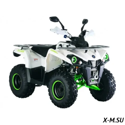 Квадроцикл Mikilon Hammer 200L Pro-R (С лебедкой)