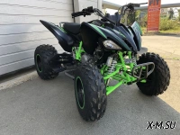 Квадроцикл PROMAX RAPTOR 320 Monster