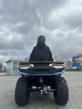 Квадроцикл MOTOLAND (МОТОЛЕНД) 300 MAX X (с ПСМ)