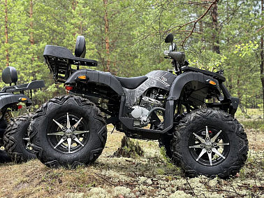 Квадроцикл PROMAX 320 DOMINATOR (2025)