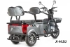 Трицикл ELTRECO Rutrike Экипаж