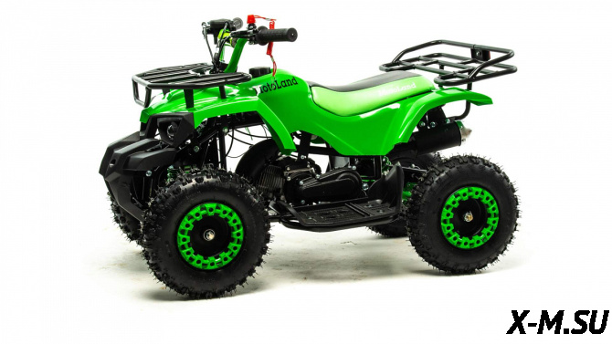 Квадроцикл MOTOLAND (МОТОЛЕНД) SCORPION 50E