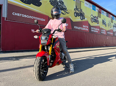 Мотоцикл PROMAX STRYKER 200(49)