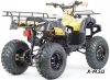 Квадроцикл PROMAX ATV 300