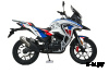 Мотоцикл MOTOLAND (МОТОЛЕНД) 300 ENDURO GS (175FMM-5)