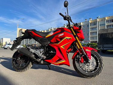 Мотоцикл PROMAX STRYKER 200(49)